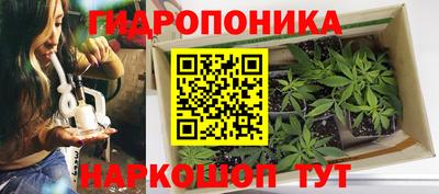 марихуана Усть-Джегута